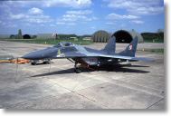 mig29 (42).jpg